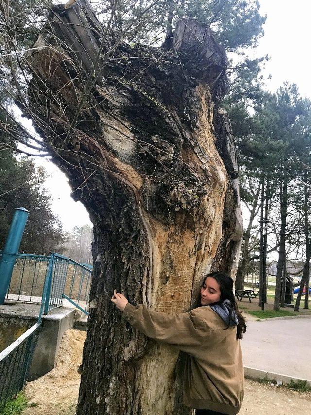 Lise öğrencileri fotoğraf yarışmasına katıldı