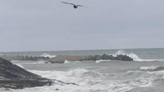 Düzce'nin Karadeniz kıyısında kuvvetli rüzgar etkili oldu