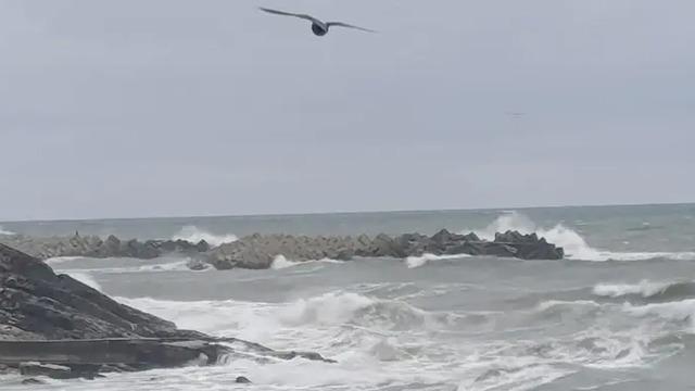 Düzce'nin Karadeniz kıyısında kuvvetli rüzgar etkili oldu