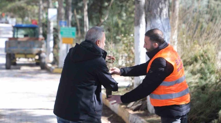 Elazığ Belediyesi&rsquo;nden vatandaşlara &uuml;cretsiz fidan desteği