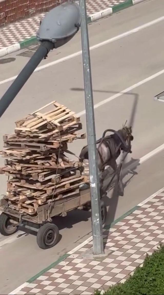 Bursa&rsquo;da pes dedirten g&ouml;r&uuml;nt&uuml;ler 3