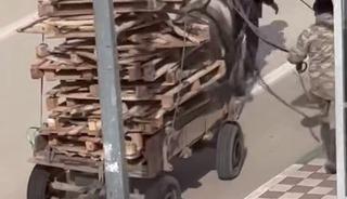 Bursa&rsquo;da pes dedirten g&ouml;r&uuml;nt&uuml;ler