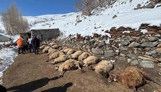 Van&rsquo;da ahırda feci yangın: 67 k&uuml;&ccedil;&uuml;kbaş hayvan telef oldu