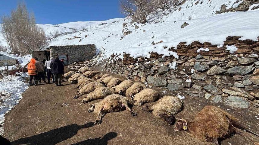 Van&rsquo;da ahırda feci yangın: 67 k&uuml;&ccedil;&uuml;kbaş hayvan telef oldu