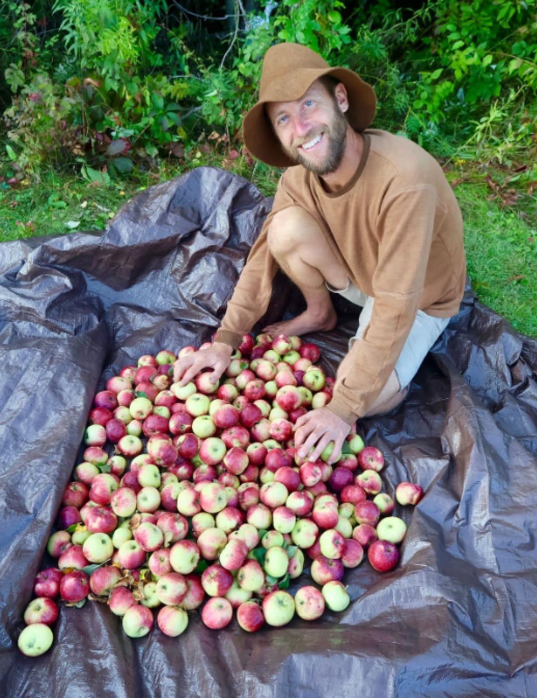 1 yıl boyunca &ouml;lm&uuml;ş hayvanları ve yabani otları yiyecek! "Bunlar en pahalı restoranlarda servis edilen yemekler" 1