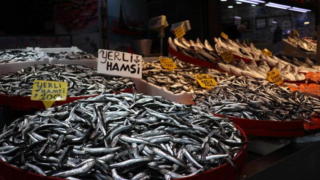 'Yeniden dönüş yaptı, fiyatı da uygun' Tezgahlar doldu, ilgi çok
