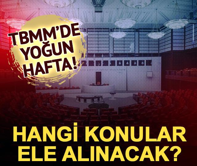 TBMM'de yoğun mesai! Yeni haftada hangi konular ele alınacak?