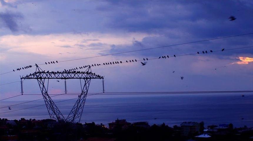 Spot piyasada elektrik fiyatları (1 Mart 2026)