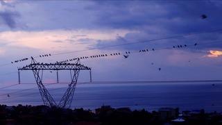 Spot piyasada elektrik fiyatları (1 Mart 2026)