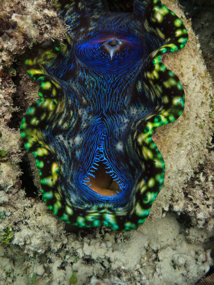  Genç kız ilişki kurbanı oluyordu! 10 cm'lik oyuncak içine kaçtı G3