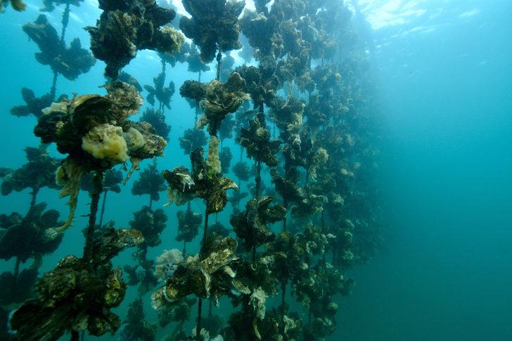  Genç kız ilişki kurbanı oluyordu! 10 cm'lik oyuncak içine kaçtı G5