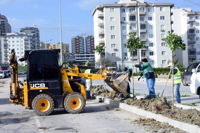 Siteler Mahallesi turunç ve ıhlamur kokacak