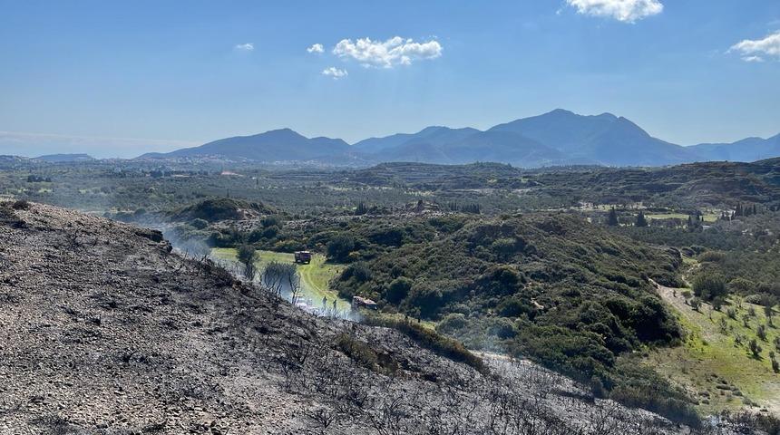 Muğla'da makilik alanda yangın