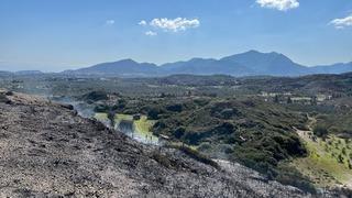 Muğla'da makilik alanda yangın