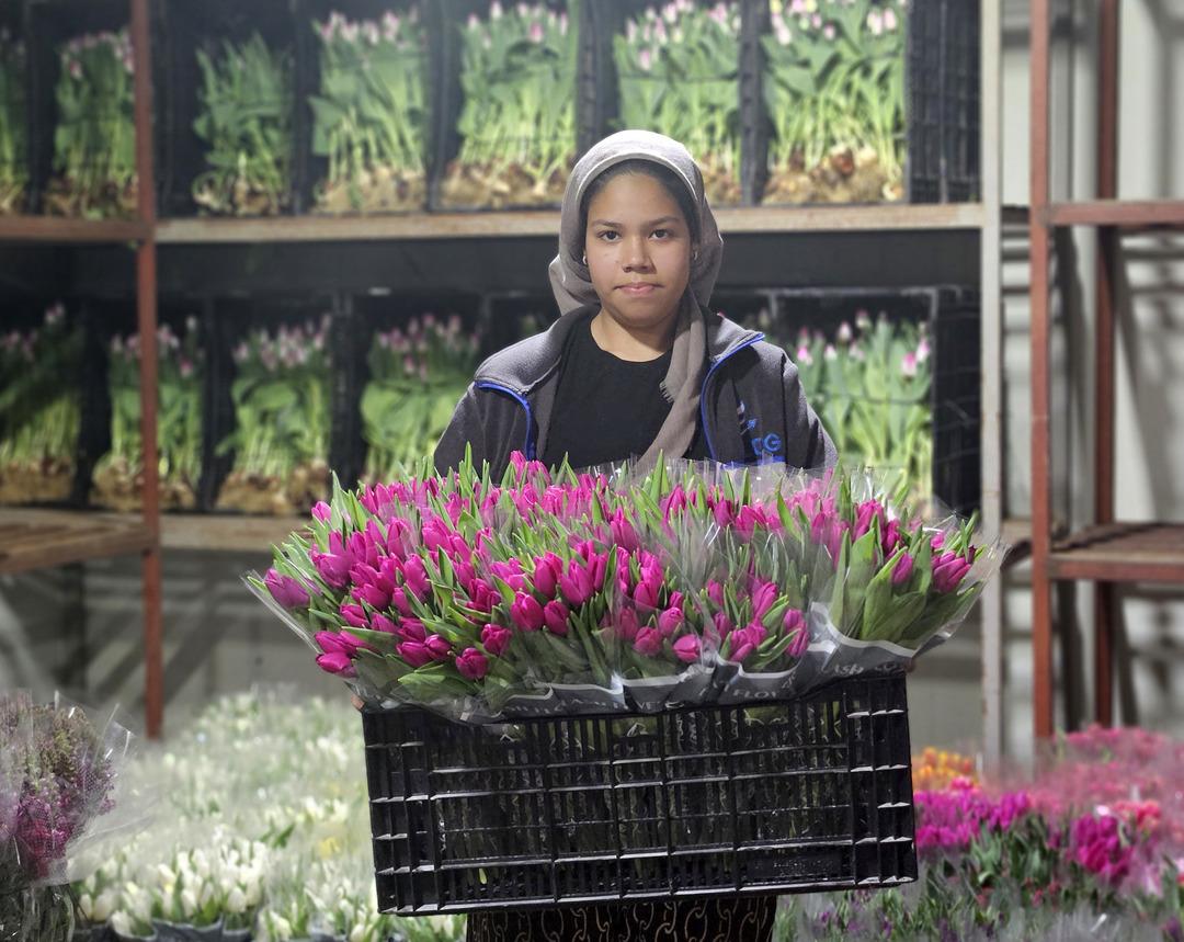 Kadınlar G&uuml;n&uuml; ne &ouml;zel sadece su kullanarak &uuml;retiliyor: Yılda 500 bin lale 2