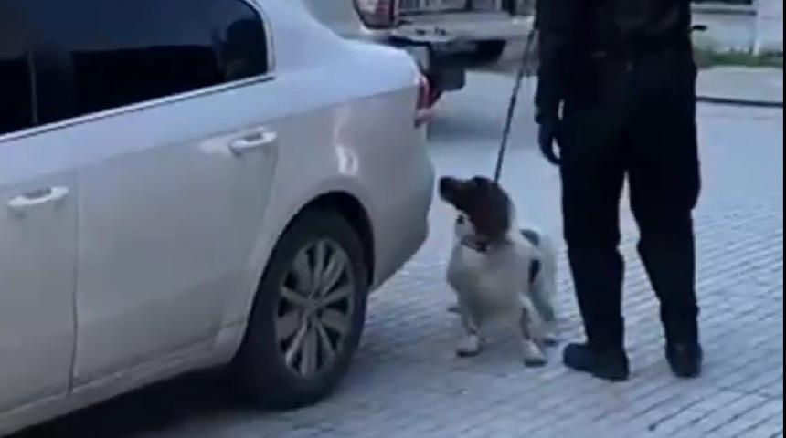 Denizli&rsquo;de narkotik operasyonunda 6 kilo esrar ele ge&ccedil;irildi