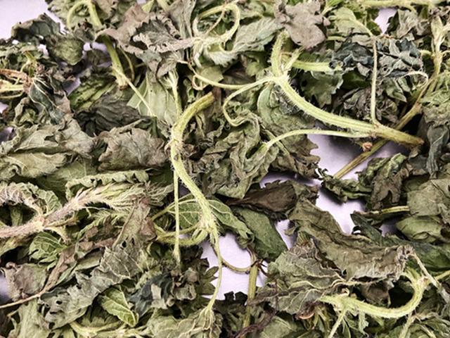 &Ccedil;oğu kişi yabani ot sanıyor ama bağışıklık kalkanı &ccedil;ıktı