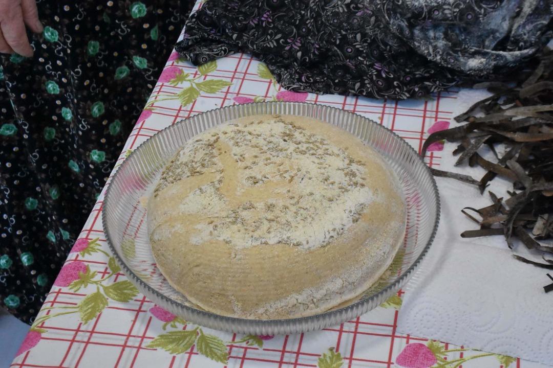 Kuraklığın ekmeği: Deniz çayırı tohumları su kıtlığına umut oldu 4