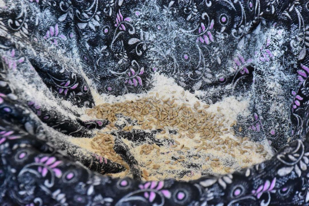 Kuraklığın ekmeği: Deniz çayırı tohumları su kıtlığına umut oldu 3