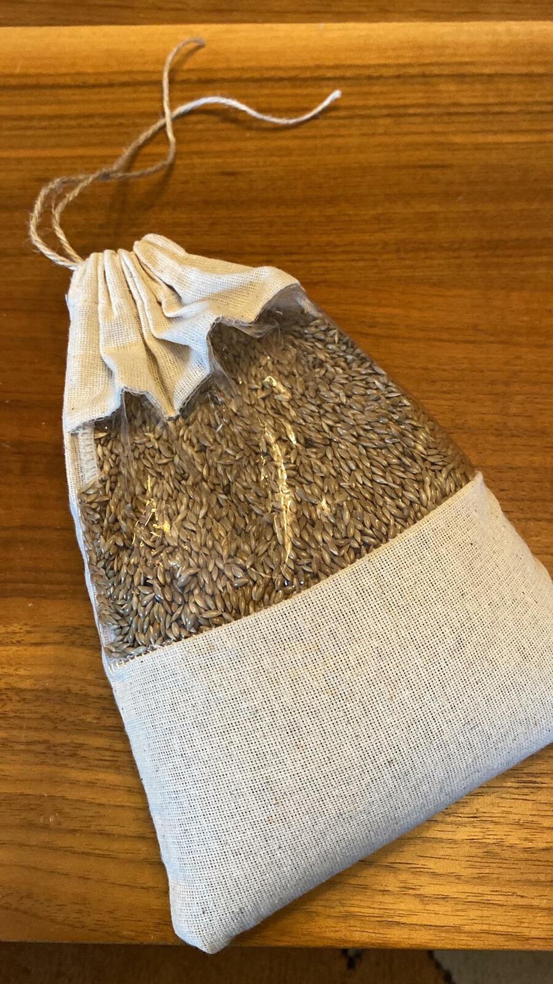 Kuraklığın ekmeği: Deniz çayırı tohumları su kıtlığına umut oldu 2