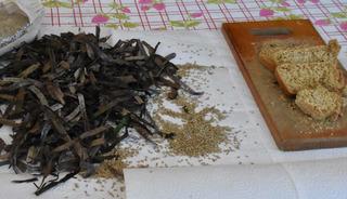 Kuraklığın ekmeği: Deniz &ccedil;ayırı tohumları su kıtlığına umut oldu