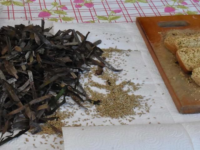 Kuraklığın ekmeği: Deniz &ccedil;ayırı tohumları su kıtlığına umut oldu