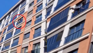 &Uuml;nl&uuml; şarkıcı cam silerken komşuları korkuttu! "Ne yapıyorsun?"