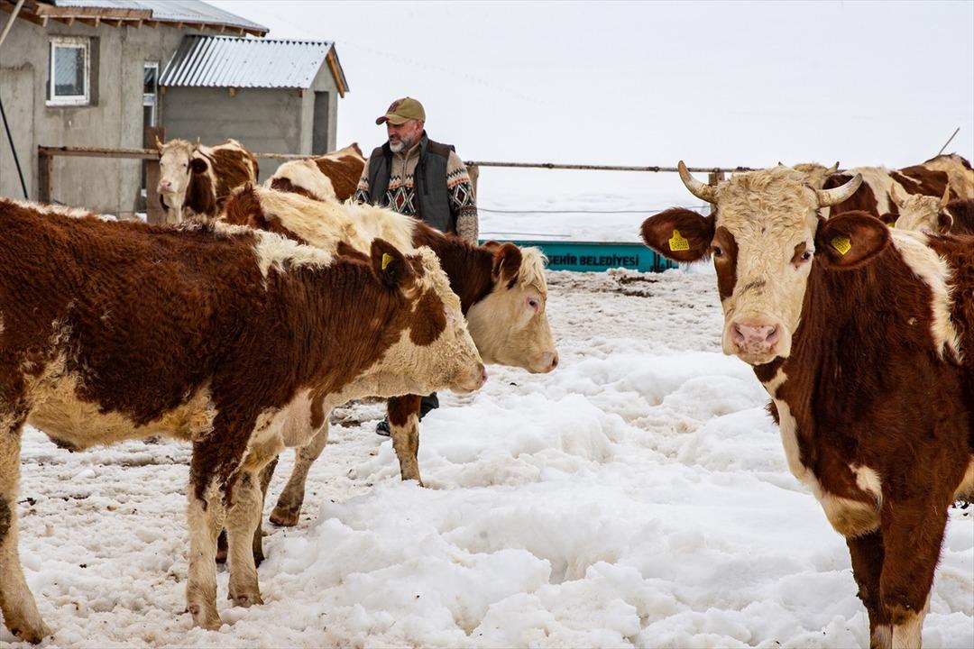 İstanbul u bırakıp k&ouml;y&uuml;ne d&ouml;nd&uuml;! K&ouml;yde &ouml;rnek bir başarı hikayesi 1