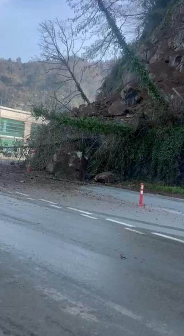 Artvin de heyelan; TIR hasar gördü 1