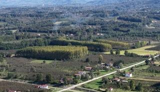 &Ccedil;arşamba Ovası meyvede zirvede