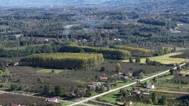 Çarşamba Ovası meyvede zirvede