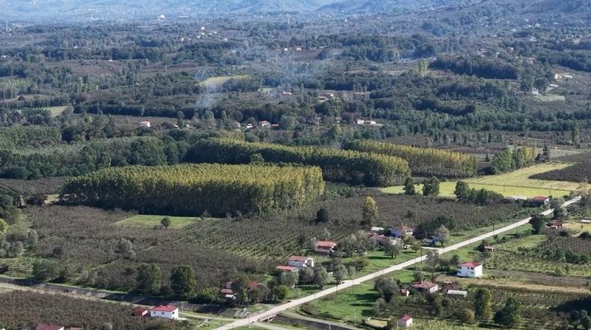 &Ccedil;arşamba Ovası meyvede zirvede