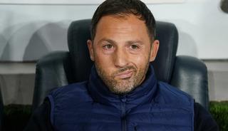 SON DAKİKA | Fenerbah&ccedil;e'de Domenico Tedesco şoku b&uuml;y&uuml;yor! Antalyaspor'dan sonra o ma&ccedil;ta da takımın başında yok...