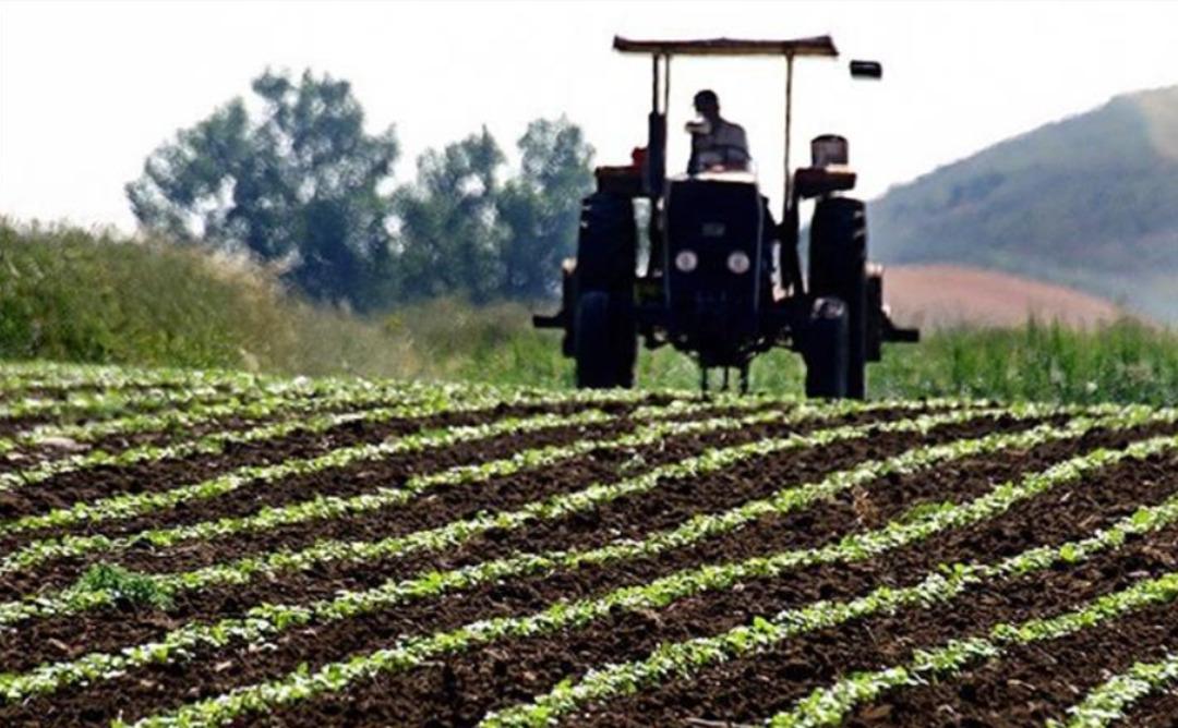 Tarım Kredi&rsquo;den g&uuml;bre a&ccedil;ıklaması! &ldquo;T&uuml;m tedbirler alındı&rdquo; 1