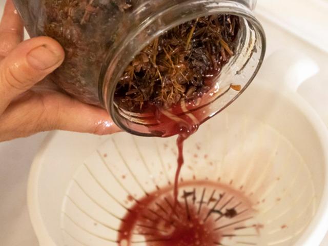 Yol kenarlarında kendiliğinden yetişiyor: Avrupa&rsquo;da ila&ccedil; gibi araştırılıyor