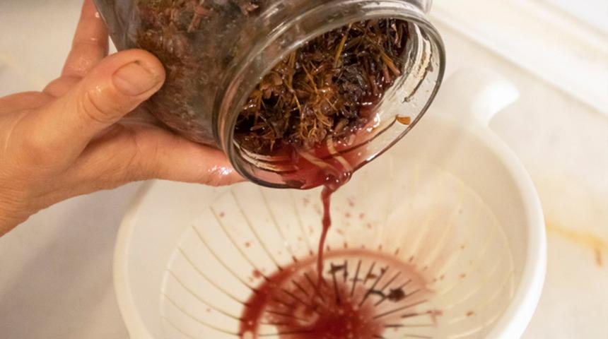 Yol kenarlarında kendiliğinden yetişiyor: Avrupa&rsquo;da ila&ccedil; gibi araştırılıyor