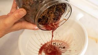 Yol kenarlarında kendiliğinden yetişiyor: Avrupa’da ilaç gibi araştırılıyor