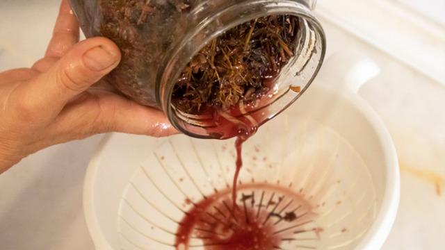 Yol kenarlarında kendiliğinden yetişiyor: Avrupa’da ilaç gibi araştırılıyor