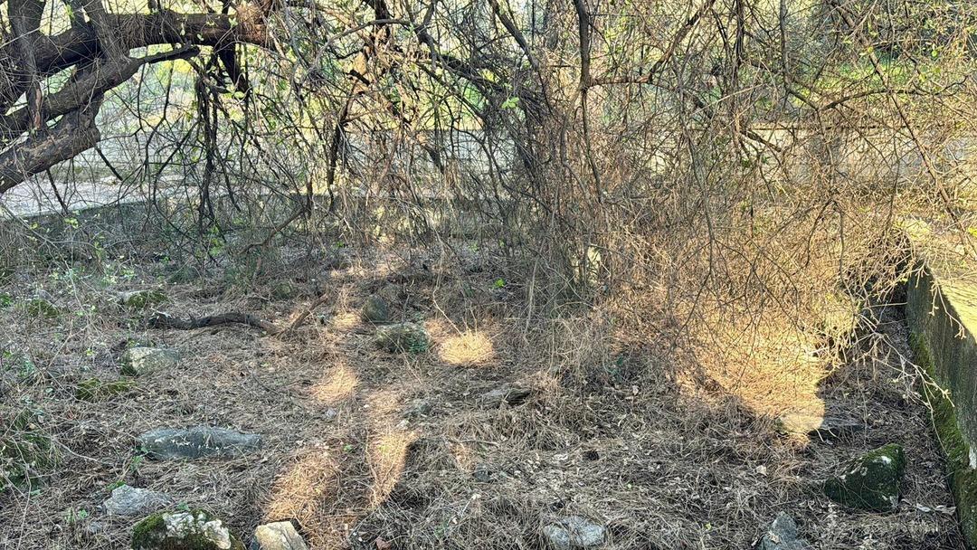 Delik Dede&rsquo;nin 200 yıllık 19 delikli adak taşı &ccedil;alındı: "Zarar getirir" uyarısı! 4