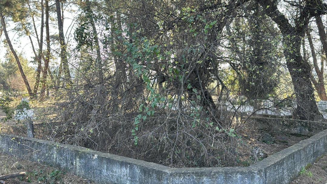 Delik Dede&rsquo;nin 200 yıllık 19 delikli adak taşı &ccedil;alındı: "Zarar getirir" uyarısı! 2