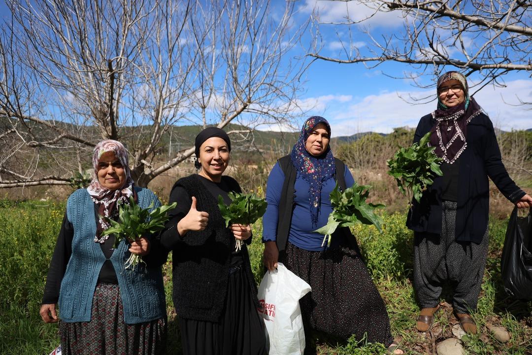 Zehir de olabilir şifa da! Saatlerce kaynatıp yiyorlar: Faydası say say bitmez 2