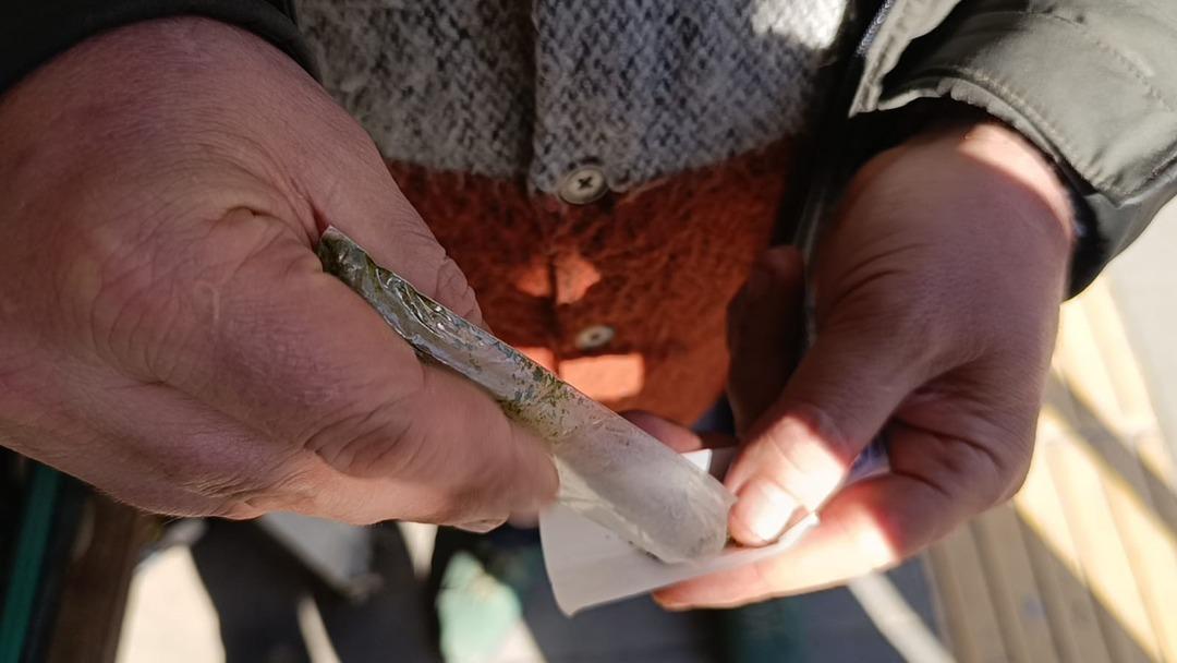 Zararları saymakla bitmiyor! Günde 8 paket sigaraya bedel 3