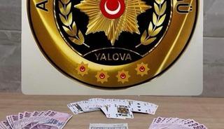 Yalova&rsquo;da kumar operasyonu