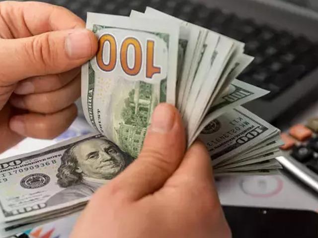 Reel efektif d&ouml;viz kuru endeksi şubatta 103,17 oldu