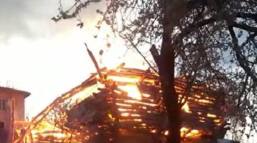 Yaşlı kadın yangında hayatını kaybetti