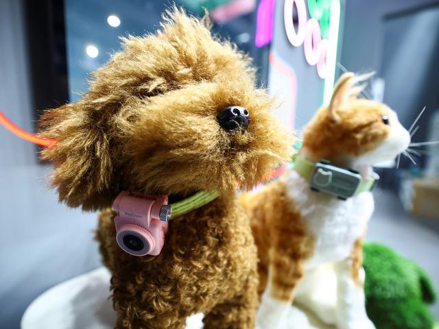 Evcil hayvanlar i&ccedil;in akıllı telefon geliştirildi