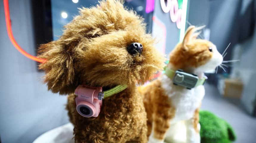 Evcil hayvanlar i&ccedil;in akıllı telefon geliştirildi! Artık patili dostunuz sizi arayabilecek