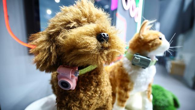 Evcil hayvanlar için akıllı telefon geliştirildi! Artık patili dostunuz sizi arayabilecek