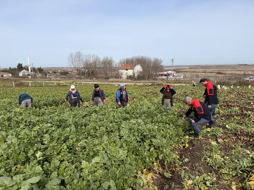 &Ccedil;amurdan tek tek &ccedil;ıkarılıyor, şifa dağıtıyor! Kilosu 100 lira 2