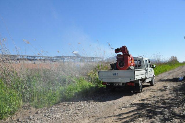 Nazilli’de ilaçlama çalışmaları sürüyor